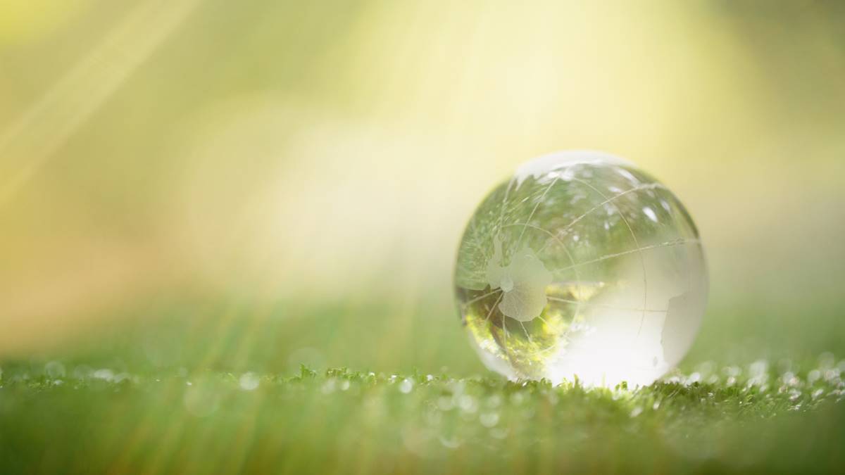 reducir las emisiones